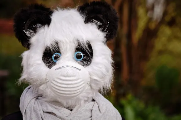 ΜπετΟριτζιναλ Καζίνο Υποστηριξη